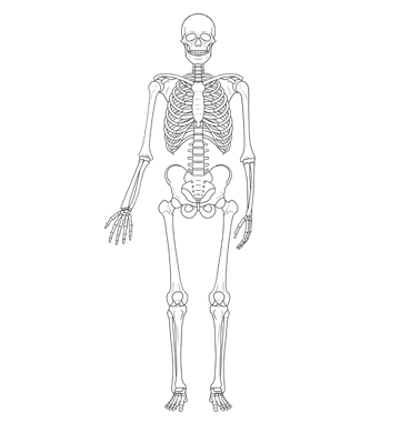 my skeleton map