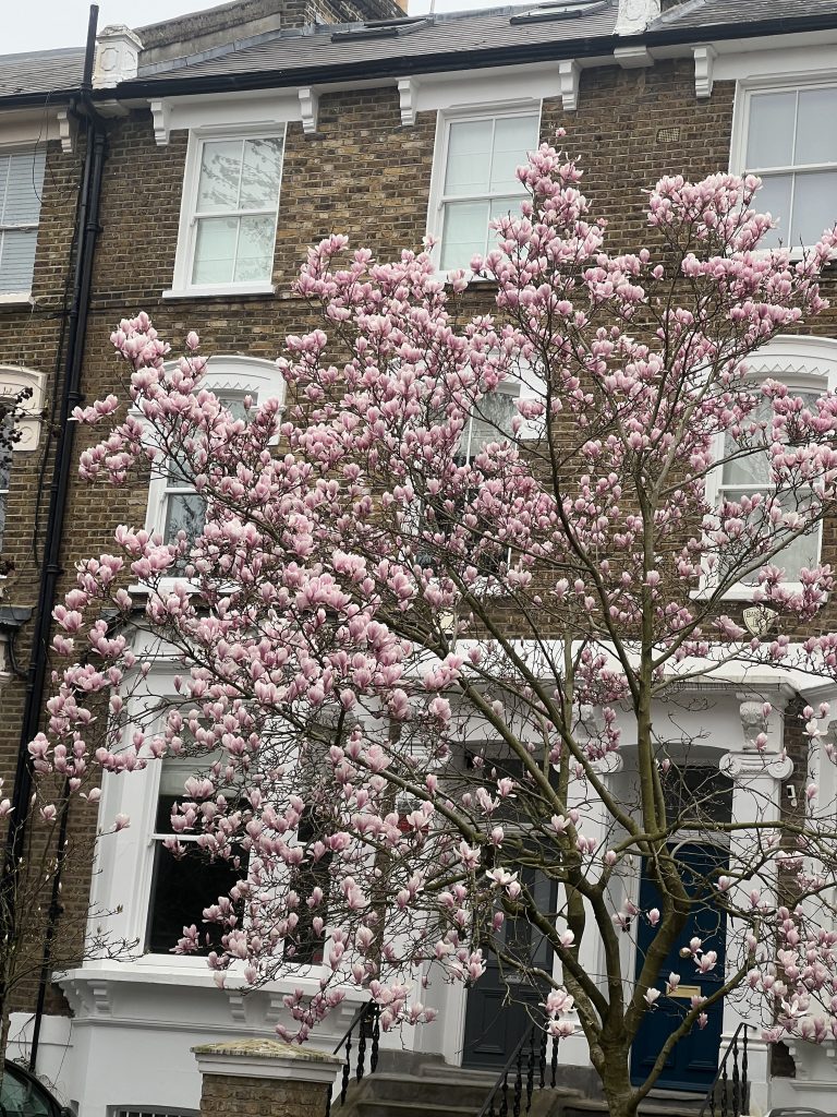 w/c 29th March-it’s been a while….